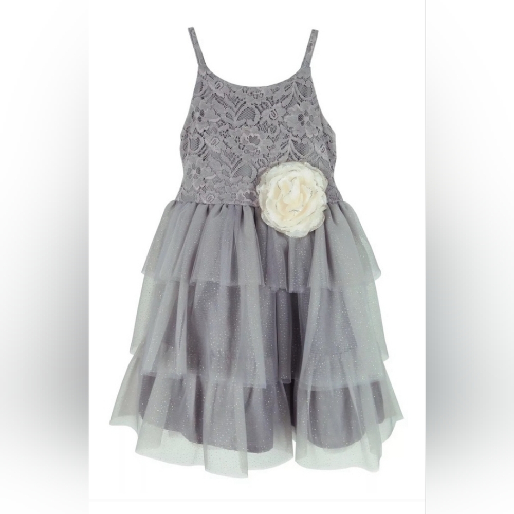 Nwt PINK & VIOLET Toddler Girls Sleeveless Lace Glitter Mesh Dress